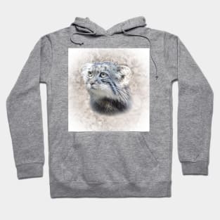 Manul-Pallas's cat Hoodie